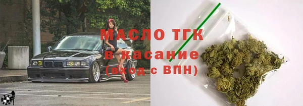 индика Арсеньев