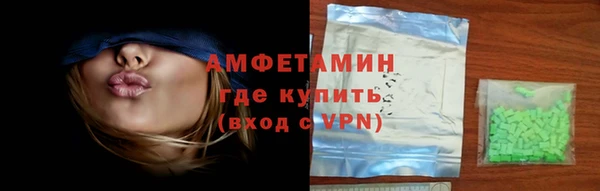 индика Арсеньев