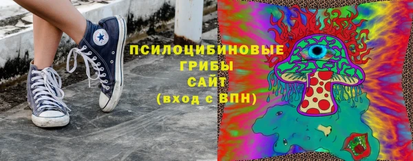 СК Аркадак