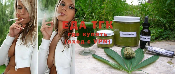индика Арсеньев