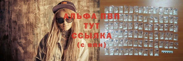 индика Арсеньев