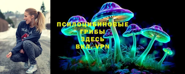 соль ск Армянск