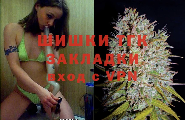 СК Аркадак