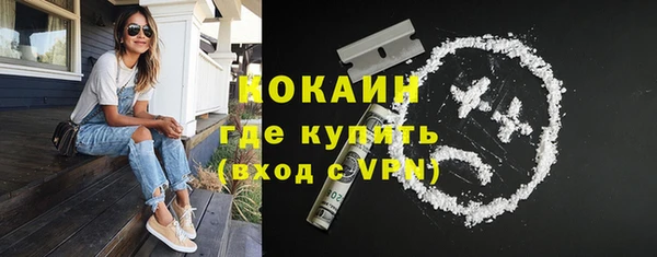индика Арсеньев